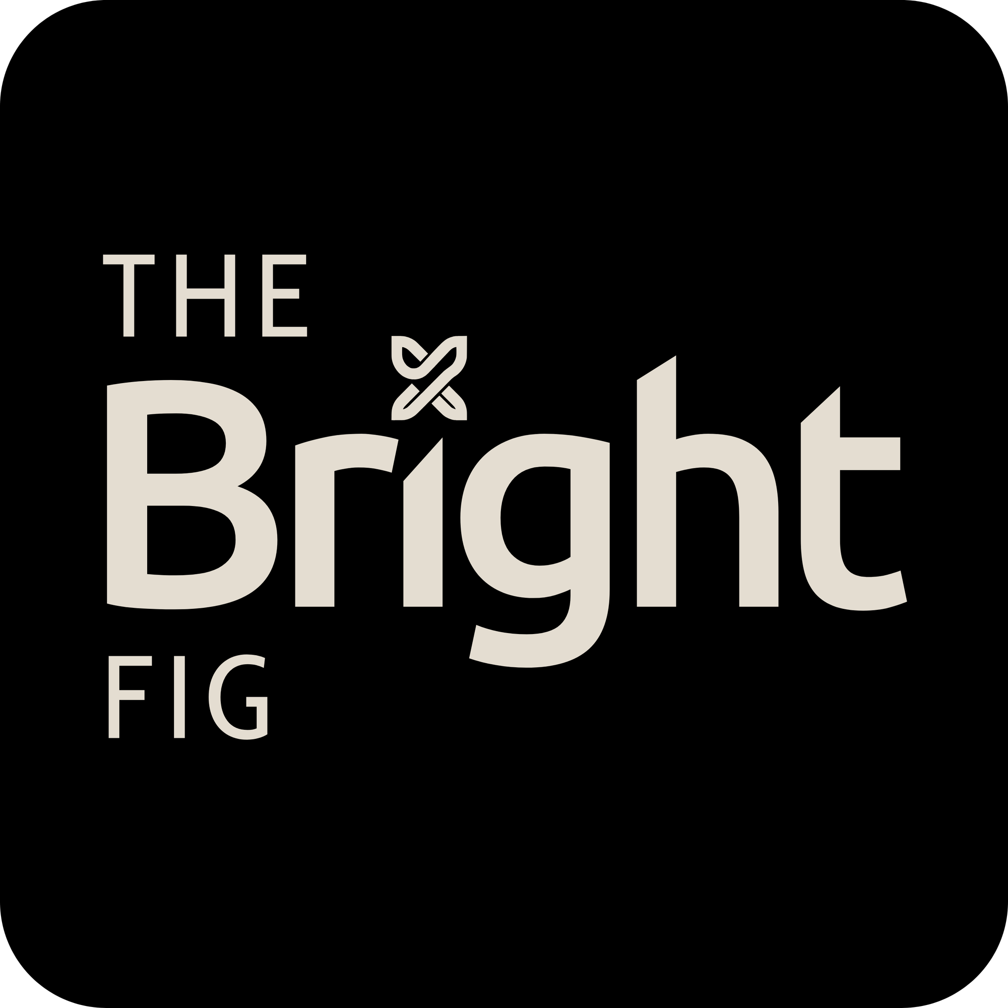 The Bright Fig Insights